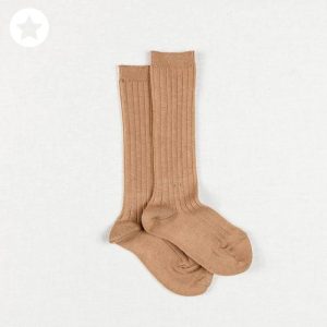 Media canale camel